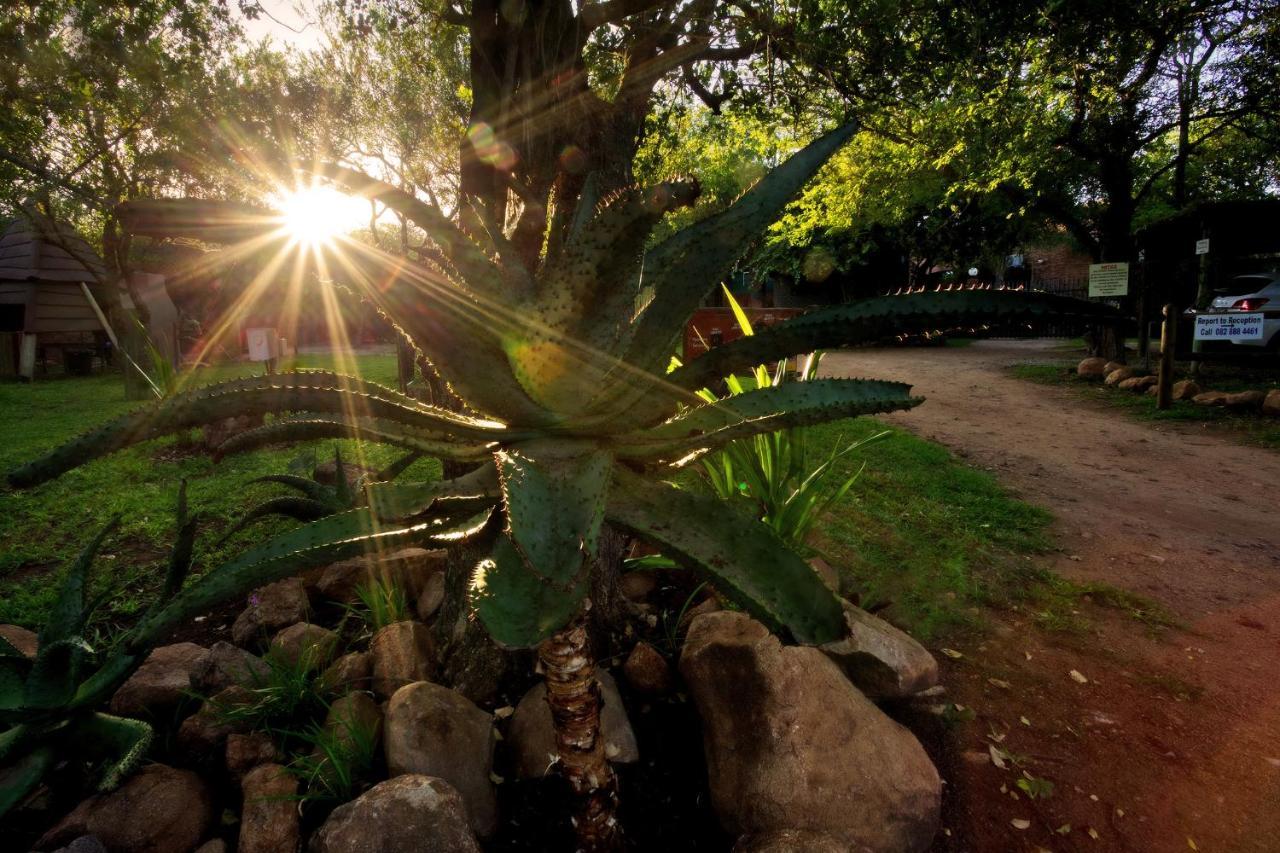 Doringpoort Lodge Marloth Park Esterno foto
