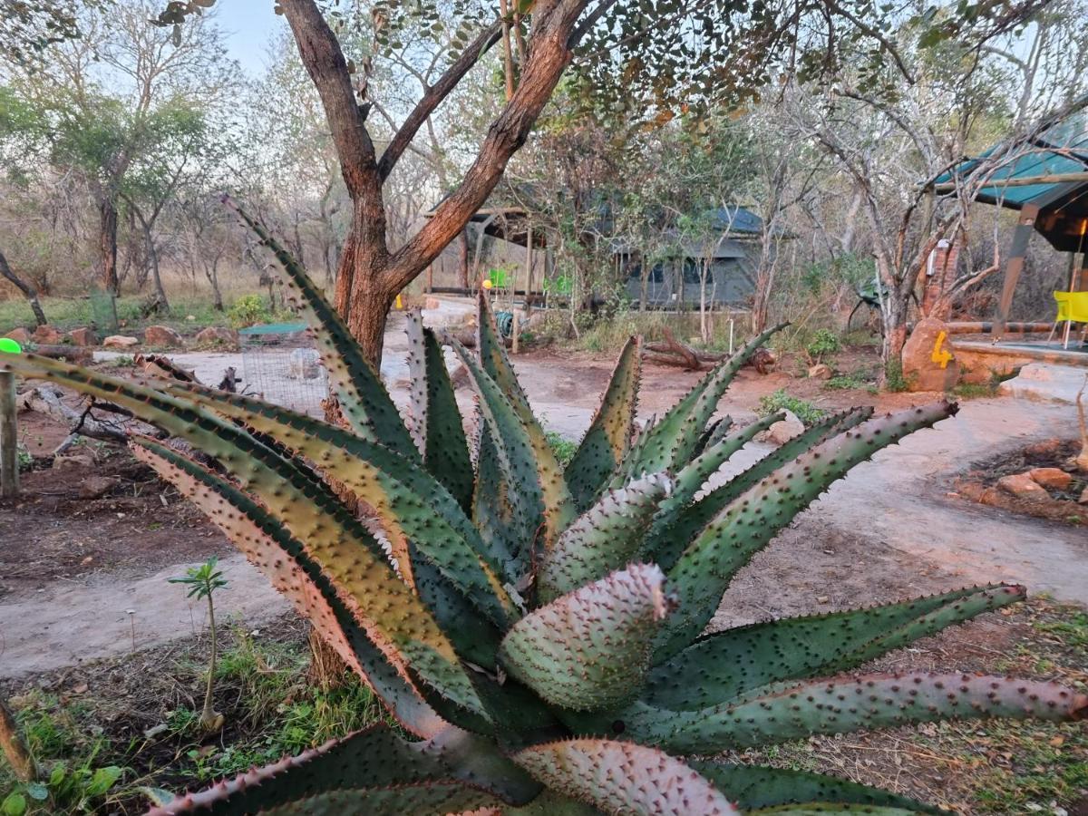 Doringpoort Lodge Kruger National Park Esterno foto