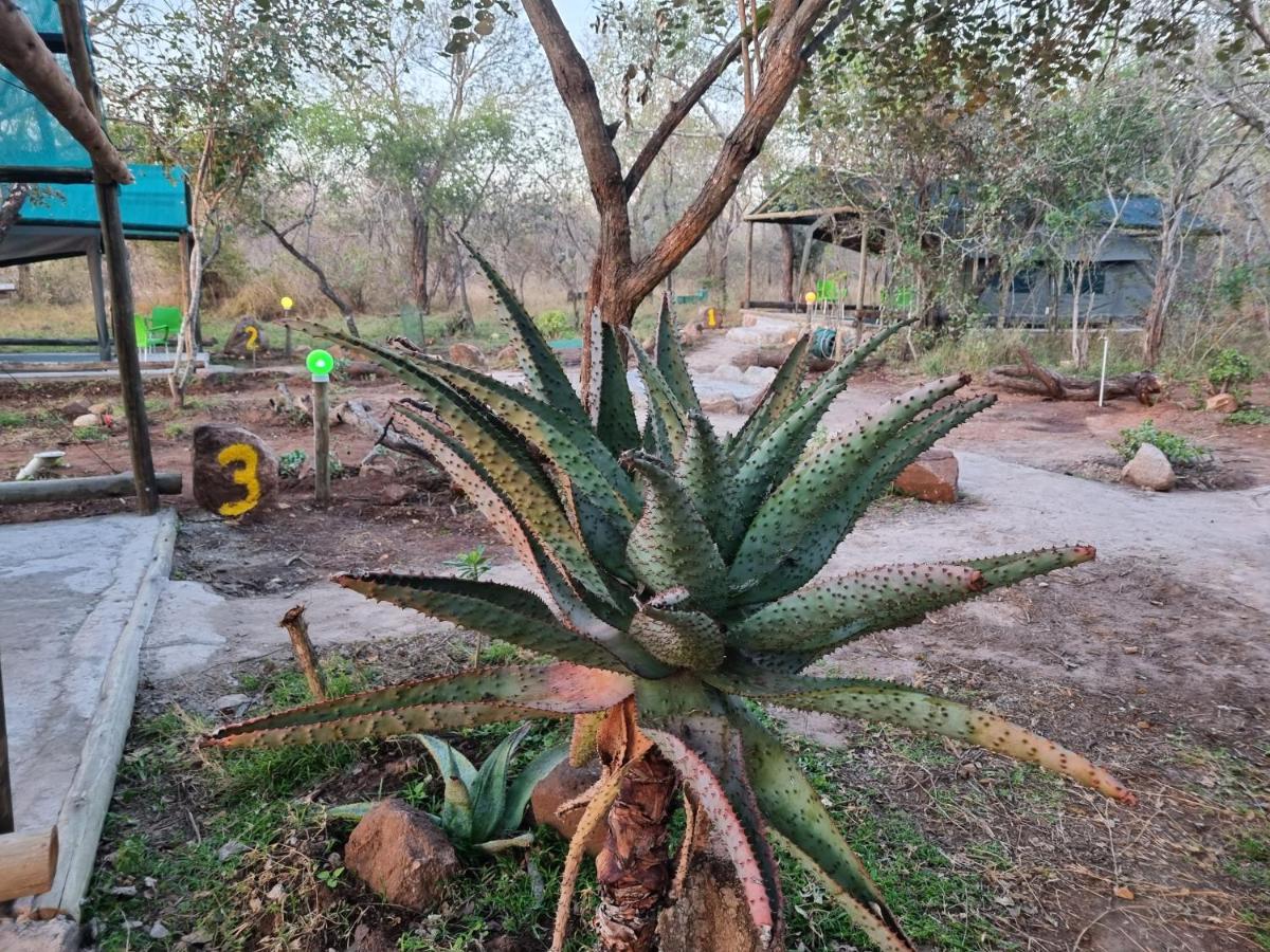 Doringpoort Lodge Marloth Park Esterno foto