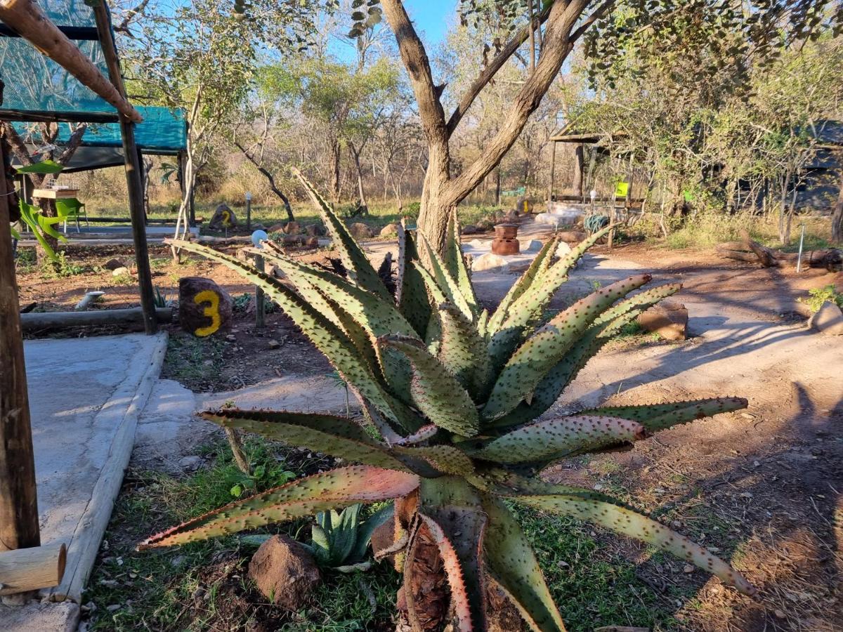Doringpoort Lodge Marloth Park Esterno foto